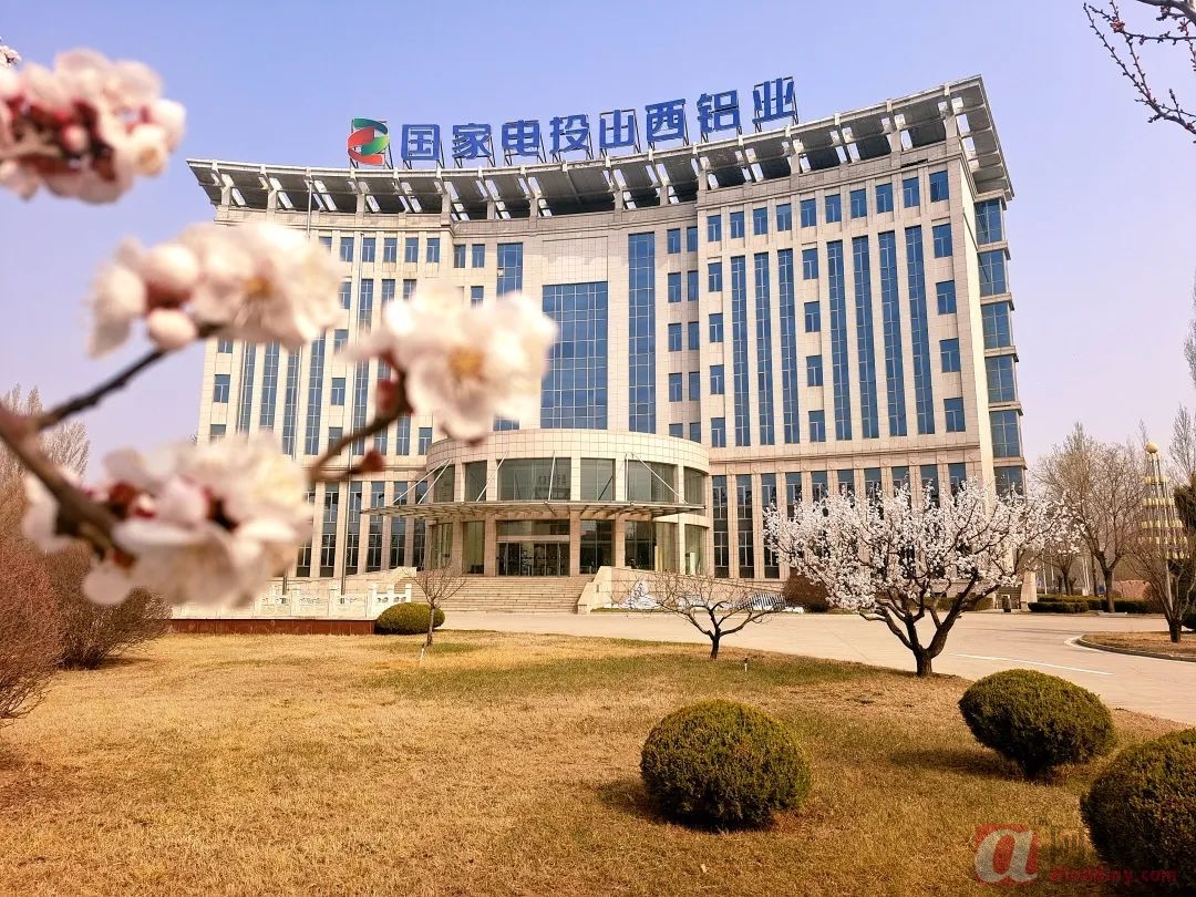 国家电投山西铝业吨氧化铝完全成本同比降低5元